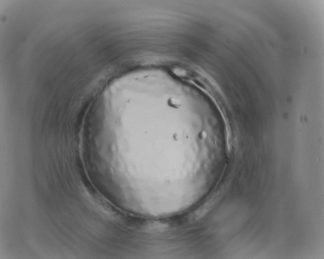 X0000076420257200610202227