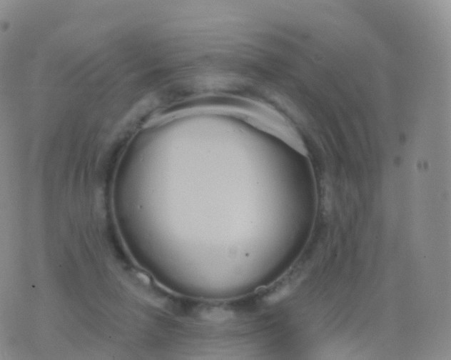 X0000076420258200610202227