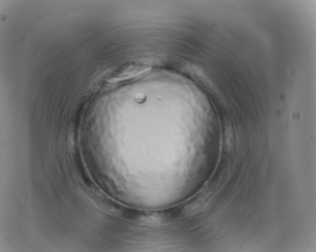 X0000076420259200610202227