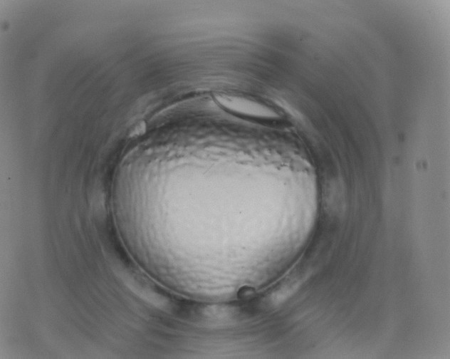 X0000076420261200610202227