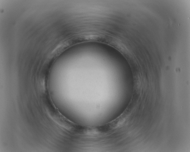 X0000076420262200610202227