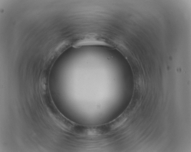 X0000076420264200610202227