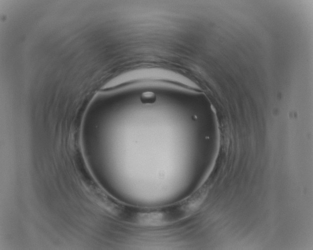 X0000076420266200610202227