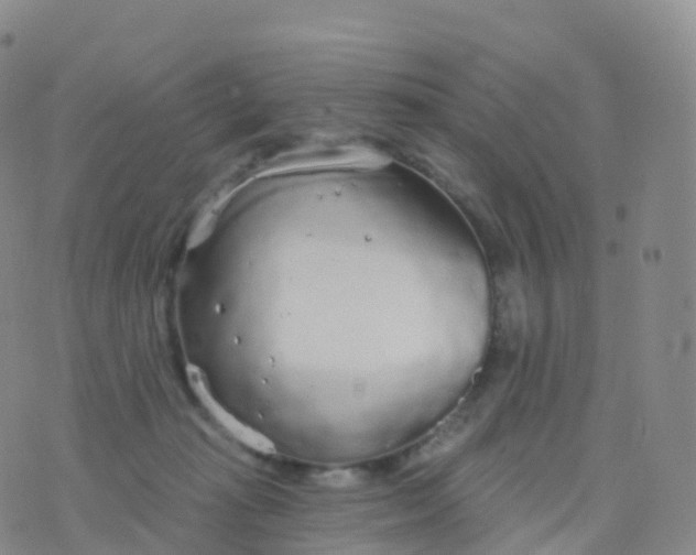 X0000076420269200610202227