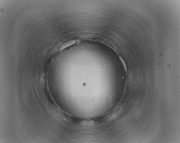 X0000076420271200610202227