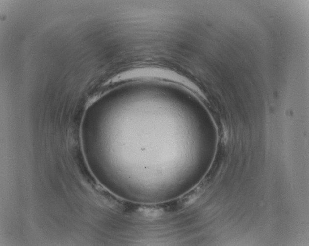 X0000076420272200610202227