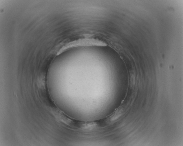 X0000076420274200610202227