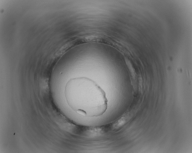 X0000076420278200610202227