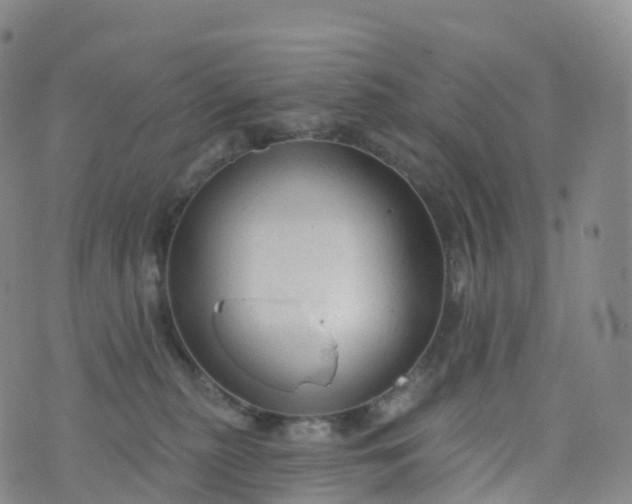 X0000076420279200610202227