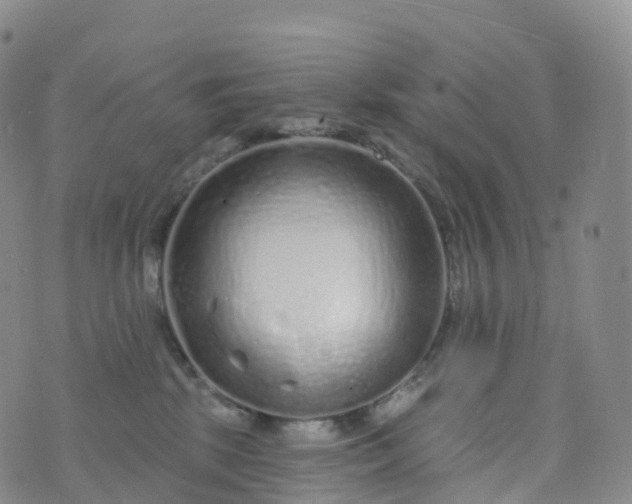 X0000076420281200610202227