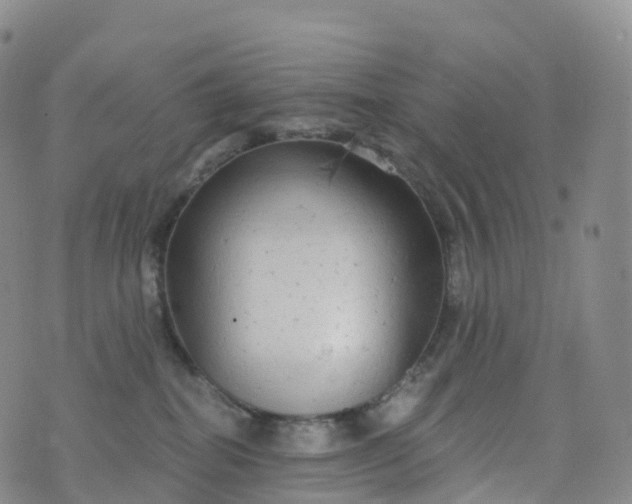 X0000076420282200610202227