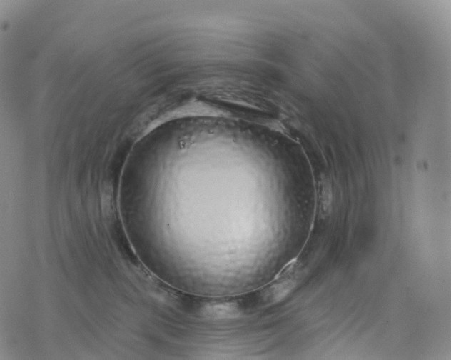 X0000076420283200610202227