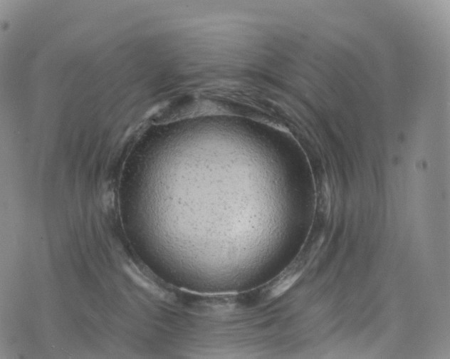 X0000076420284200610202227