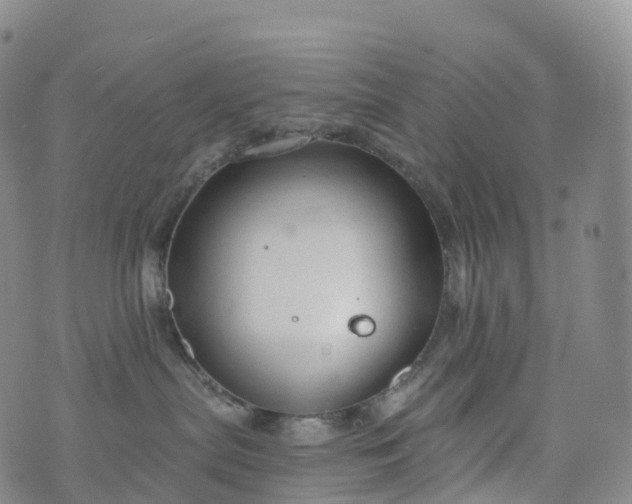 X0000076420287200610202227