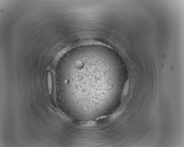 X0000076420288200610202228