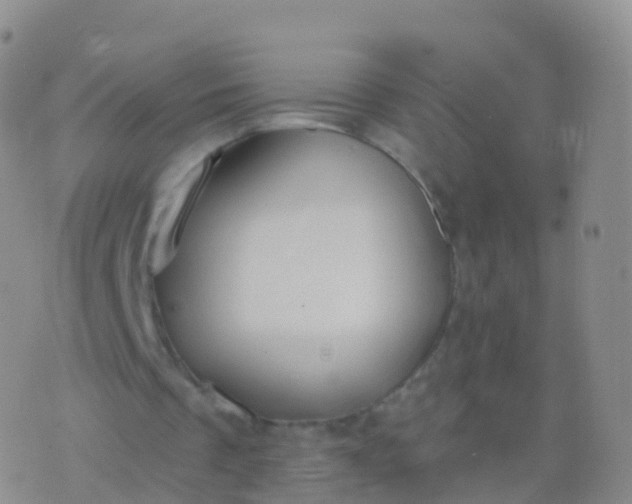 X0000076420289200610202227