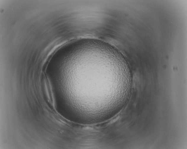 X0000076420290200610202227