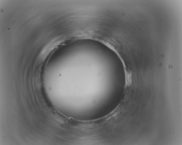 X0000076420291200610202227