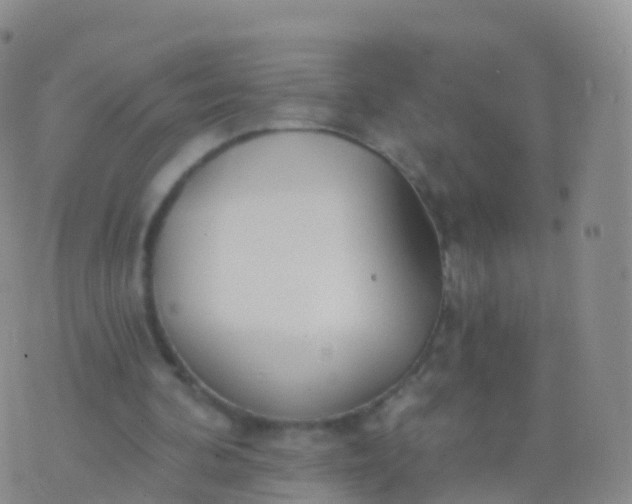 X0000076420292200610202227