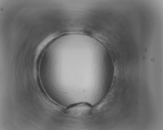 X0000076420294200610202227