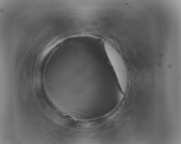 X0000076420295200610202227