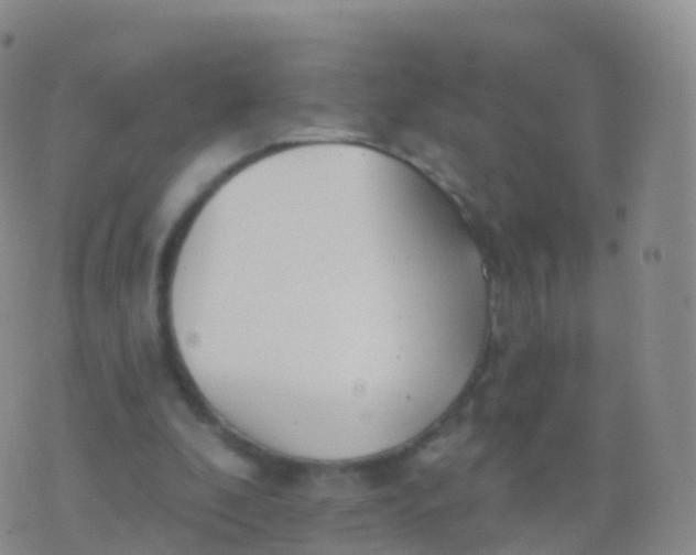 X0000076420296200610202227