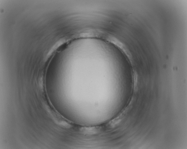 X0000076420297200610202227