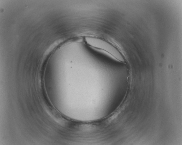 X0000076420298200610202227