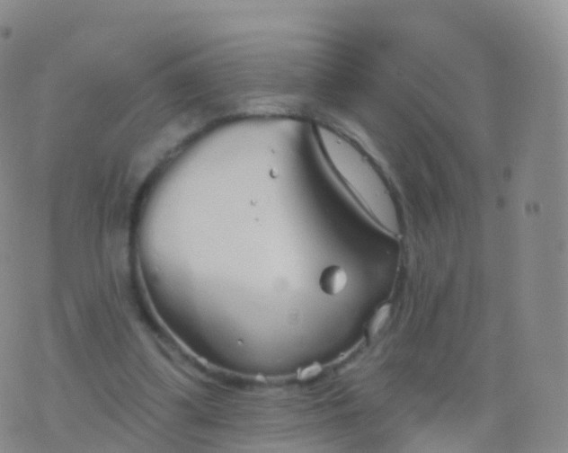 X0000076420299200610202227