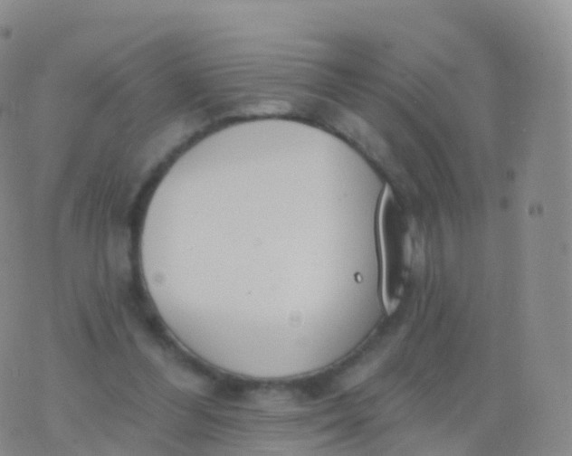 X0000076420300200610202227