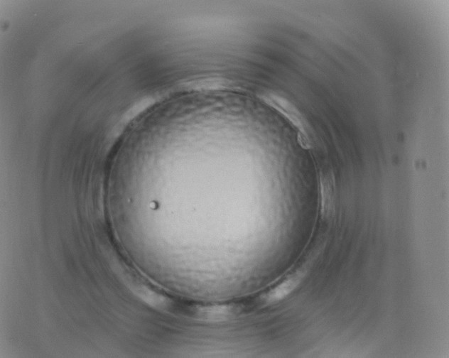 X0000076420301200610202227