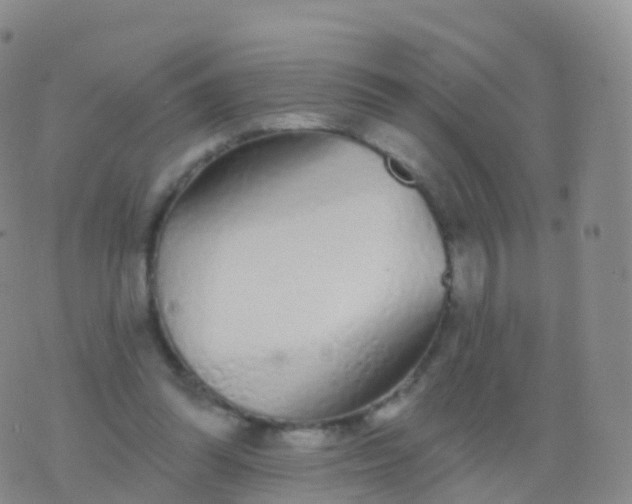 X0000076420302200610202227