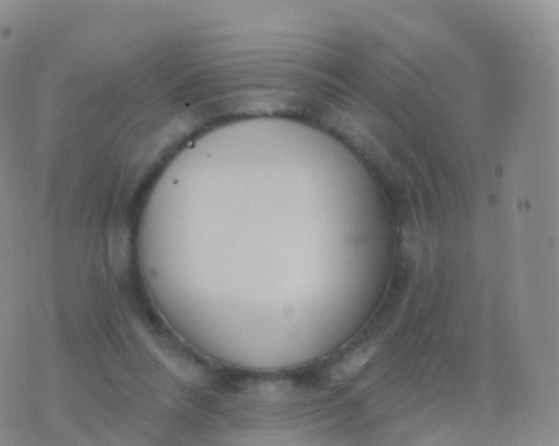 X0000076420304200610202226