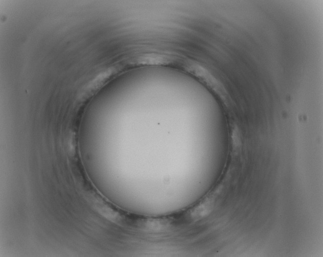 X0000076420305200610202226