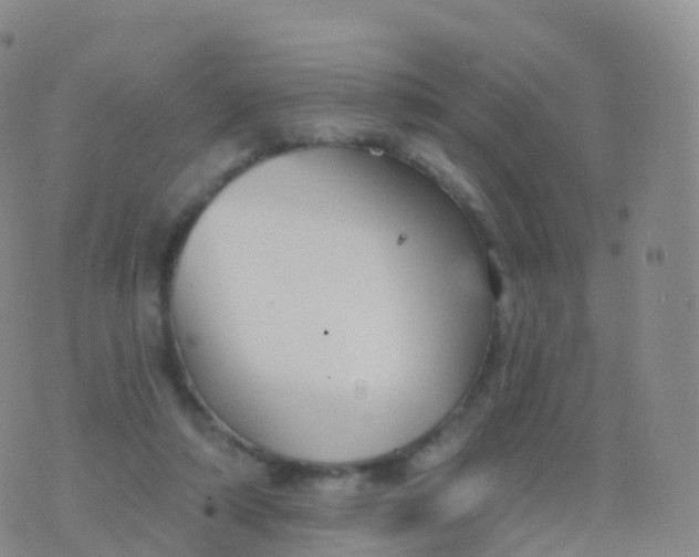 X0000076420306200610202226