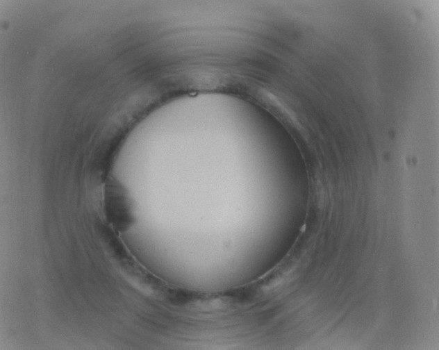 X0000076420307200610202226