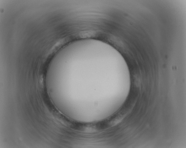 X0000076420308200610202226