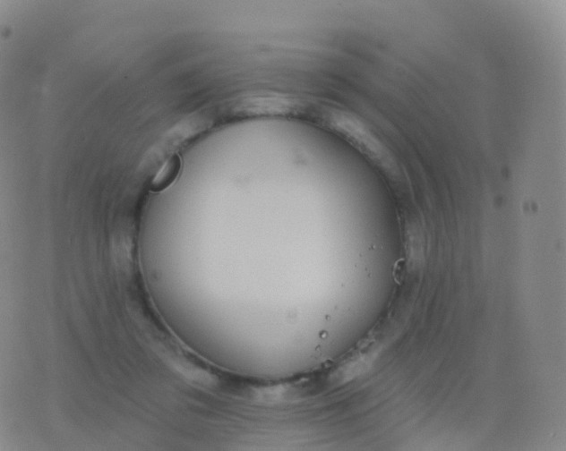 X0000076420309200610202226