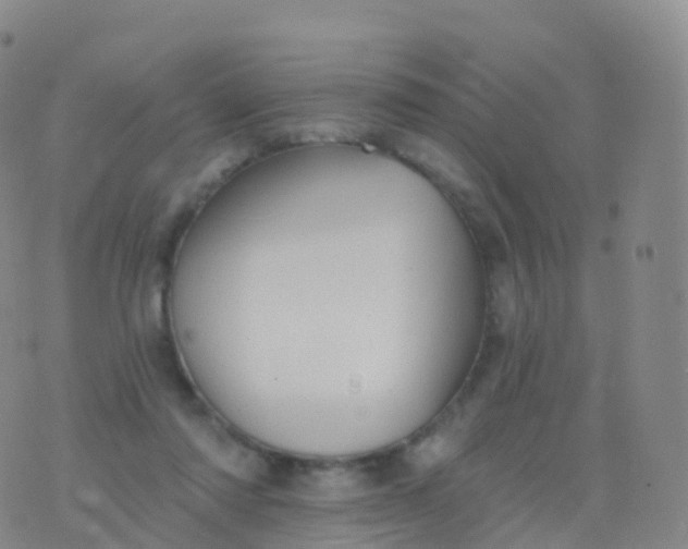 X0000076420310200610202226