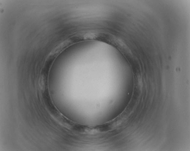 X0000076420311200610202226