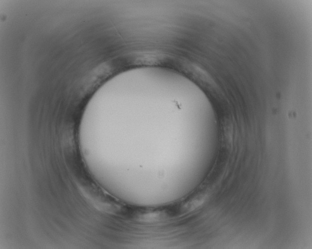 X0000076420312200610202226