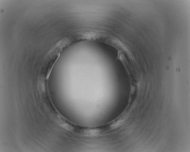 X0000076420313200610202226