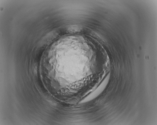 X0000076420315200610202226