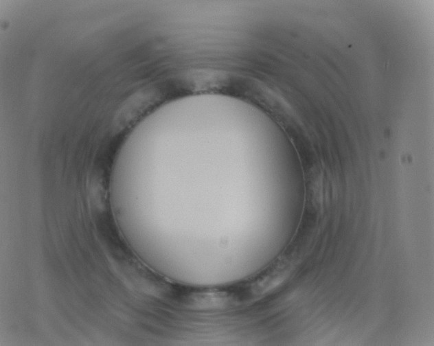 X0000076420316200610202226