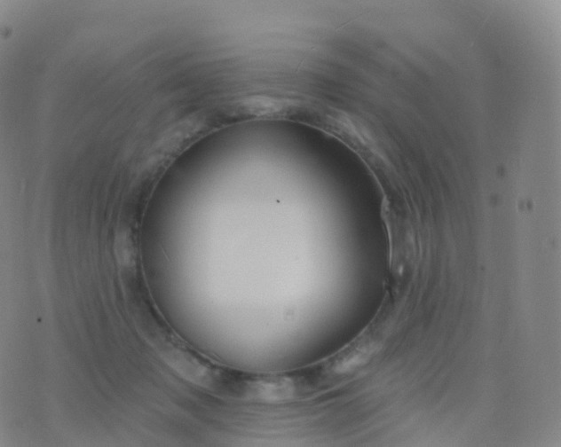 X0000076420317200610202226