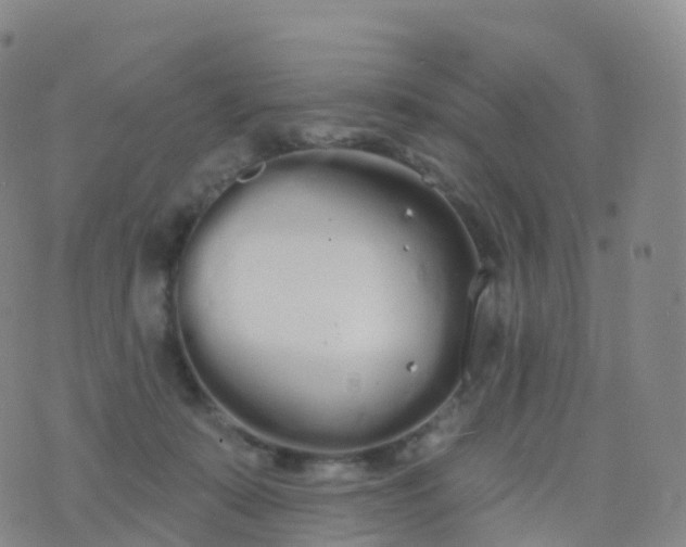 X0000076420319200610202226