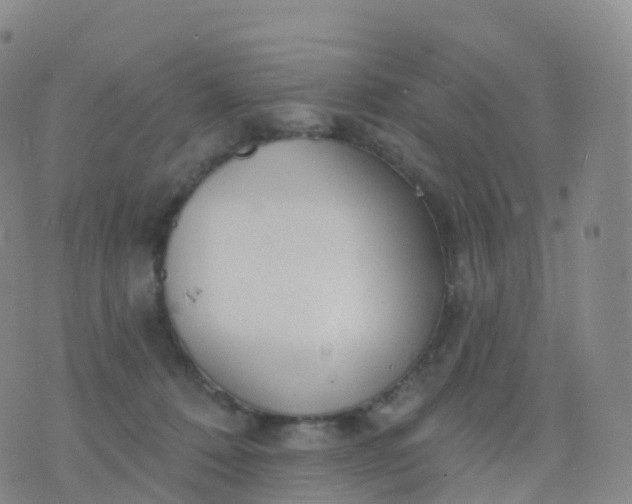 X0000076420320200610202226