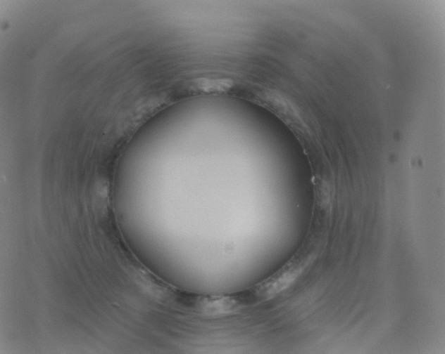 X0000076420321200610202226