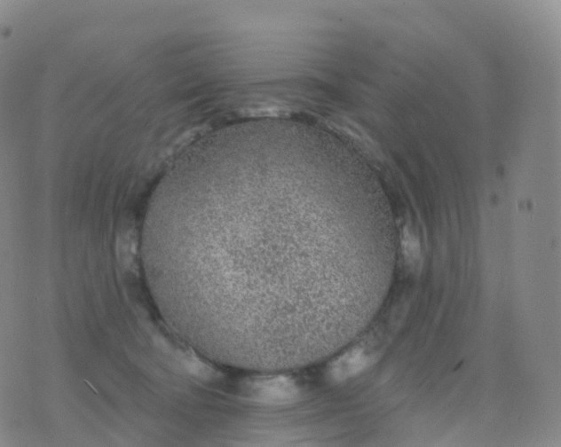 X0000076420322200610202226