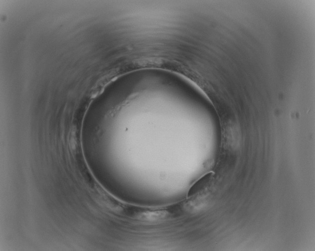 X0000076420323200610202226